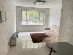 梅河口城区市中心出租 钻石名城1楼 三室 能月租 季租 价钱嘎嘎便宜 随时看出租房源真实图片