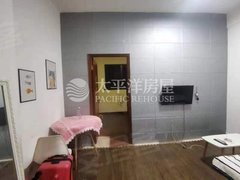 上海诗林精装一房 新出租 配套齐全 房东配合 看房随时