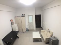厦门思明会展中心会展南 华林前景城 电梯一房一卫 看中庭 华尔顿 店上东旁出租房源真实图片