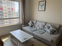 沈阳铁西重工美好愿景 1室1厅1卫 电梯房 精装修48平米出租房源真实图片