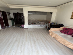 沈阳于洪荷兰村泰华林家园 2室1厅1卫  精装修56平米出租房源真实图片