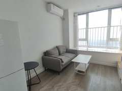 武汉沌口开发区后官湖大道金色港湾MIMI空间 1室1厅1卫  电梯房 精装修22平米出租房源真实图片