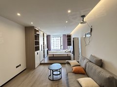 南湖边第一城单身公寓全新装修拎包入住带空调1500一个月