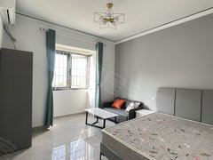 龙海城区龙海城区哇塞这间真的很阳光!蓝天白云 市医院总部 莲浦小区动车站附近出租房源真实图片