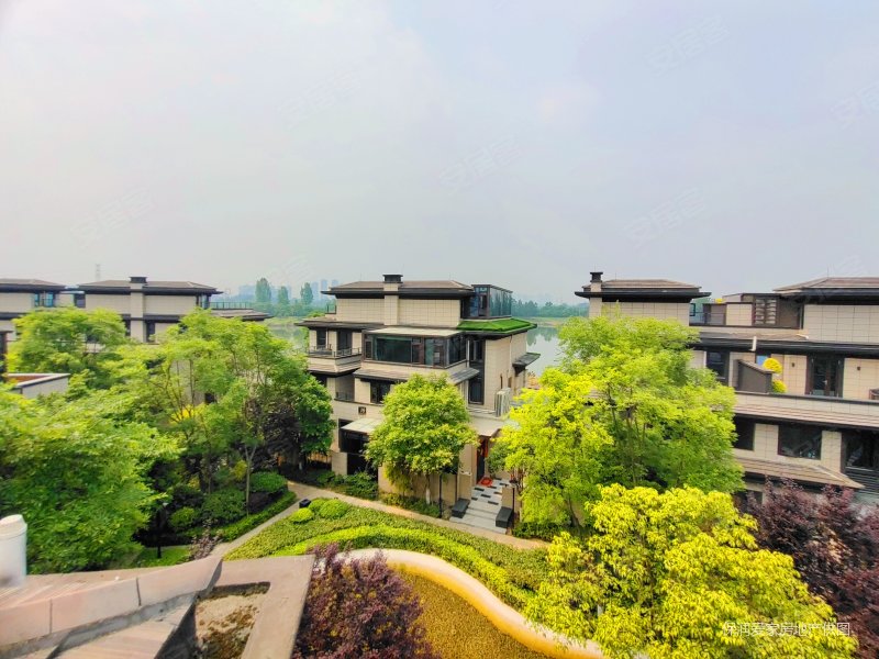 联排看湖观景别墅,一楼前后花园,带楼顶花园,可商议,保利湖心岛观湖
