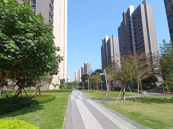 珠海高栏港区平沙时代港时代港 2室2厅1卫 电梯房 精装修 80平出租