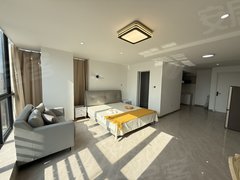 苏州吴中木渎悠方地铁口 枫华广场朝南一居室 超大空间 民用水电可短租出租房源真实图片