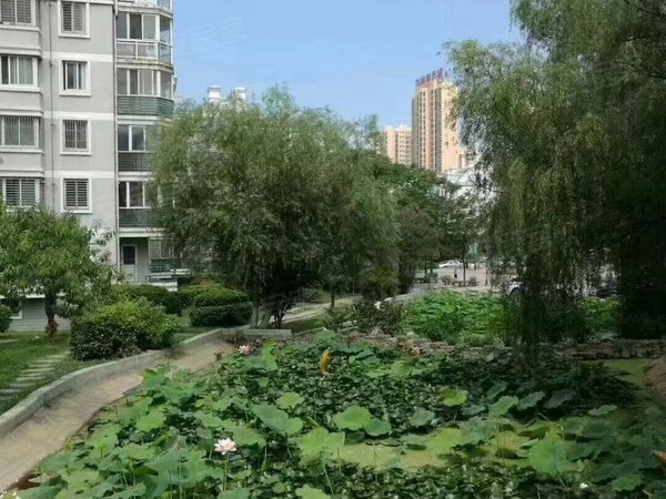 荆门掇刀万达公园里可月付!