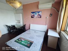 合肥政务天鹅湖真房 大卧 独立厨房 潜山路 天鹅湖银泰城 绿地蓝海 绿怡居出租房源真实图片