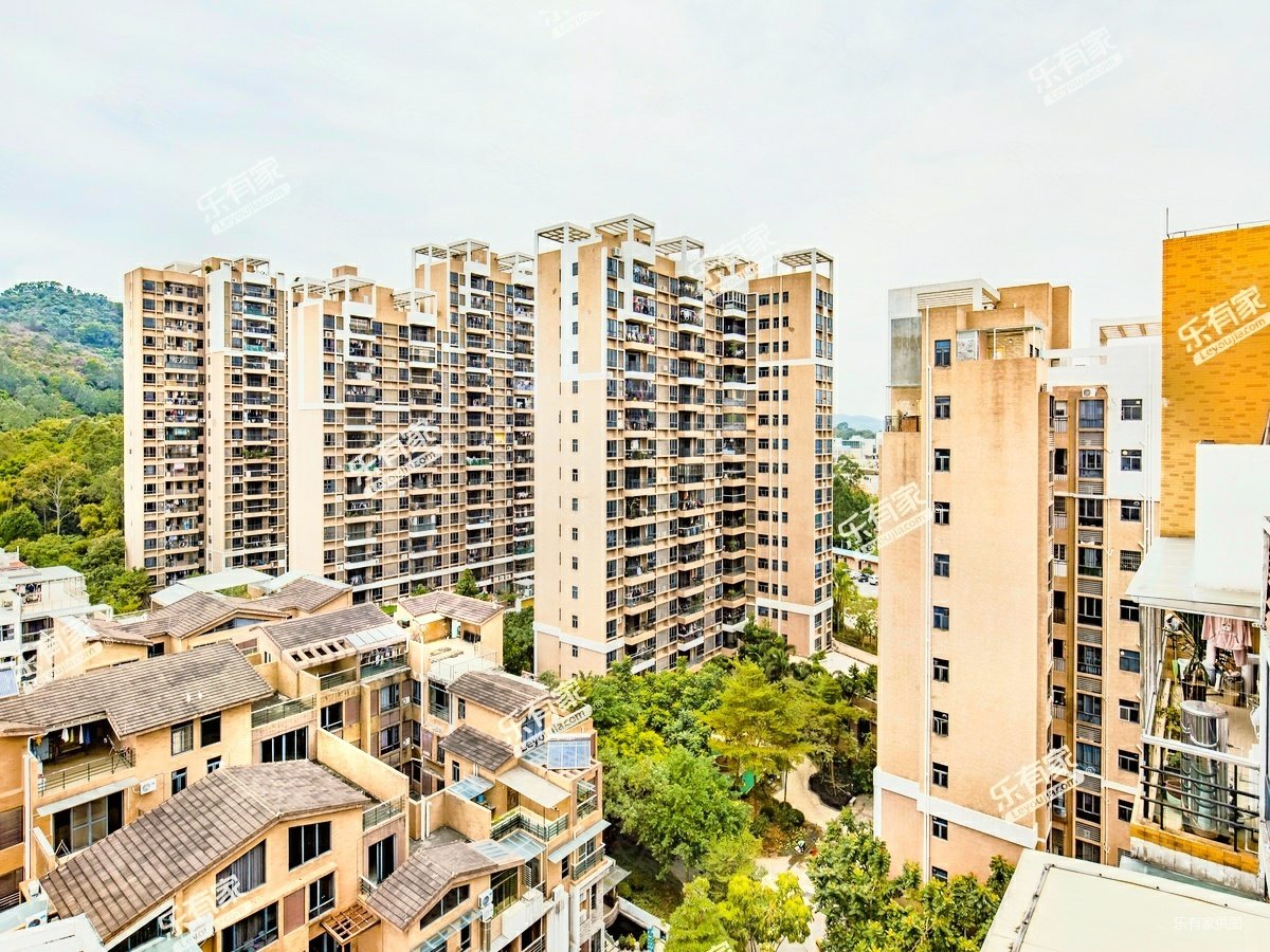 荔城花园精装南向3房满屋税费低无抵押过户快随时看房