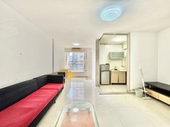 东莞大朗体育馆美好家园 1室1厅2卫  电梯房 精装修52平米出租房源真实图片