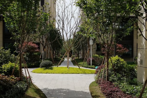 御景湾(广安区)