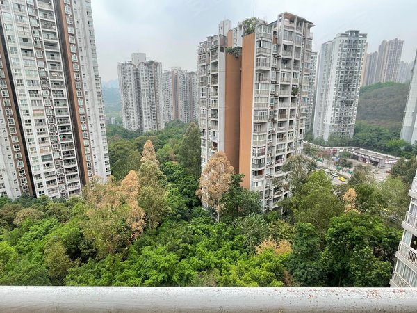 重庆南岸弹子石金港尚城弹子石 金港尚城三房  可带看出租房源真实