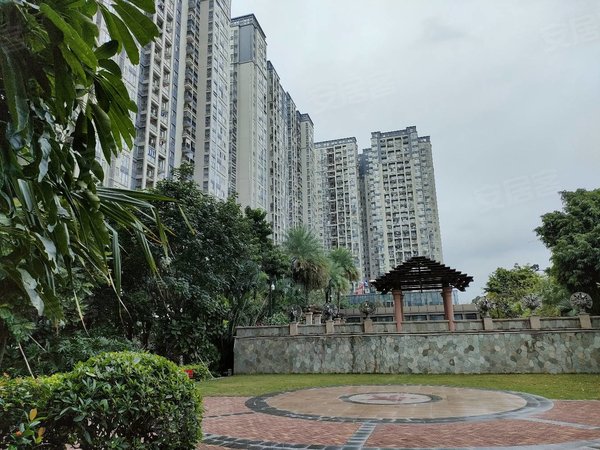 深圳宝安西乡招商果岭花园招商果岭精装两房家私齐全高楼层观景房源有