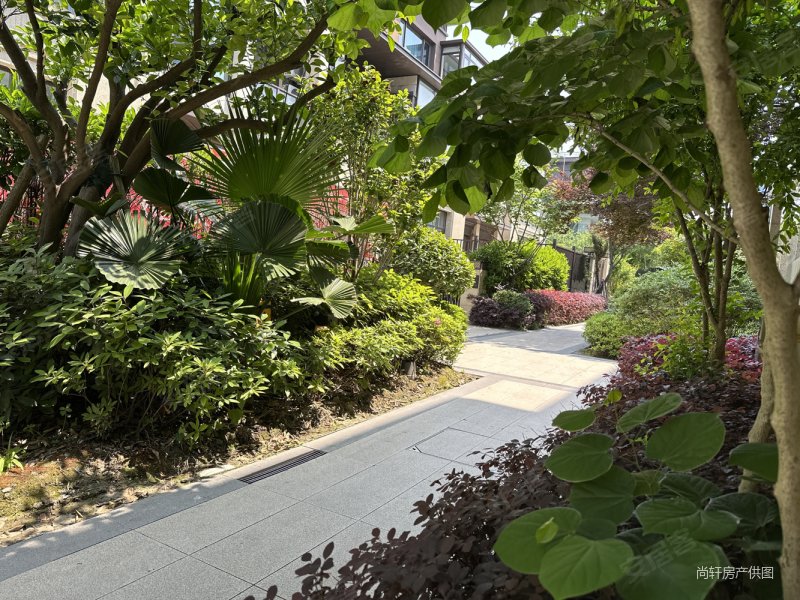 龙茂府排屋630万 带车位2个毛胚急