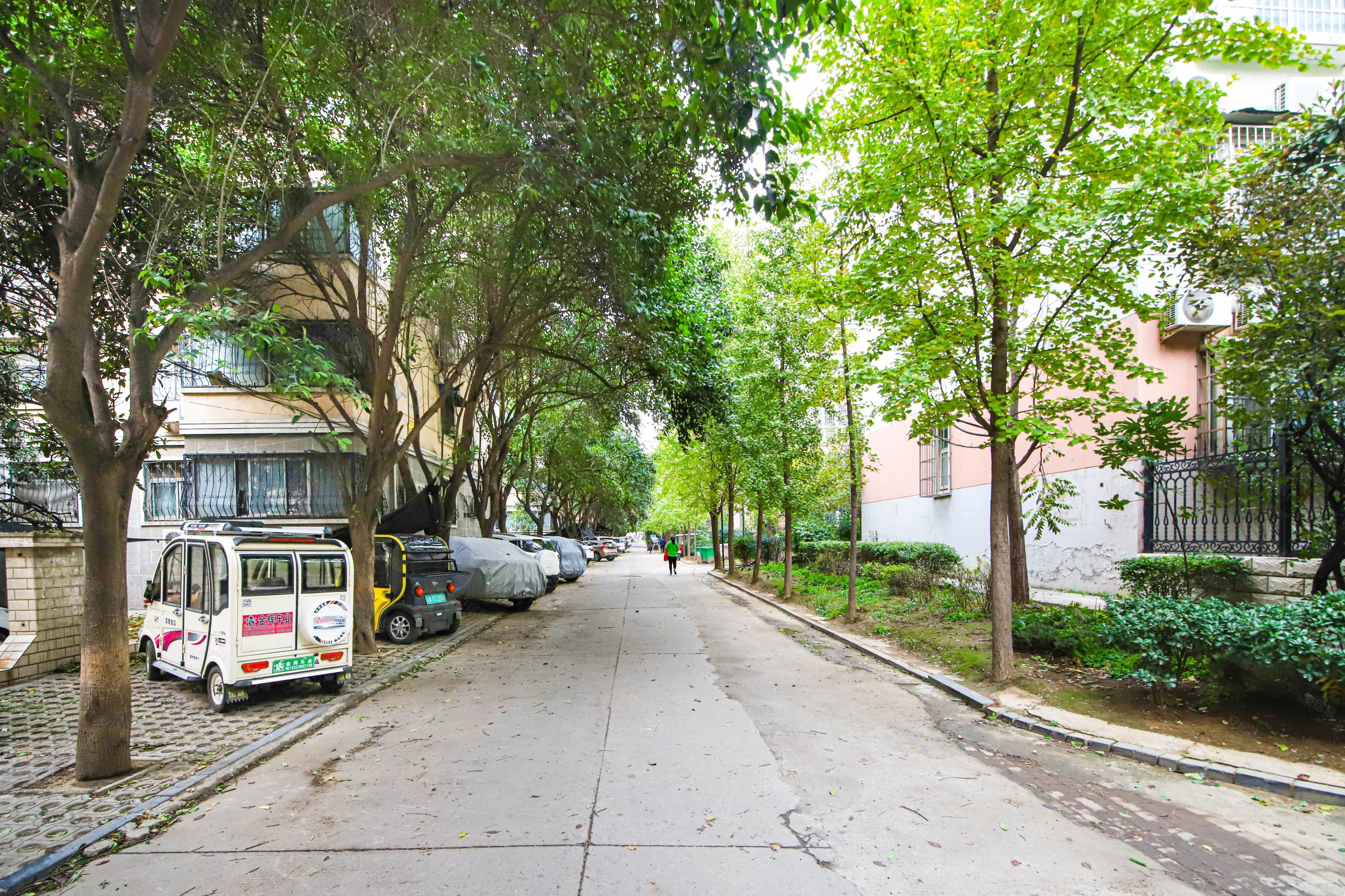 西工区洛浦公园 南北通透 刚需小三居 商品房 精装好房 板楼