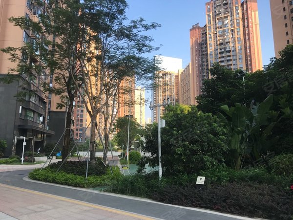 深圳龙岗坂田大族云峰一期新上实景拍摄,大族云峰,大户人家,五房两卫