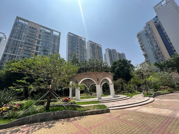 深圳福田福田中心区城中雅苑稀有户型,精装31房,南北通透,安静看花园