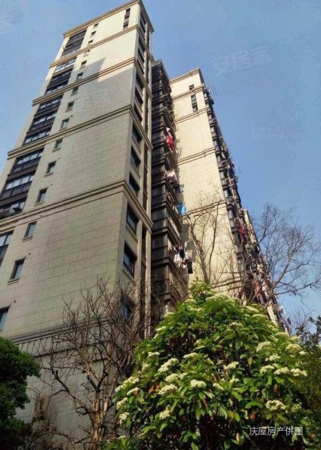 诚意出售随时看,紫峰公馆二手房,294万,3室2厅,1卫,117平米-南京安居