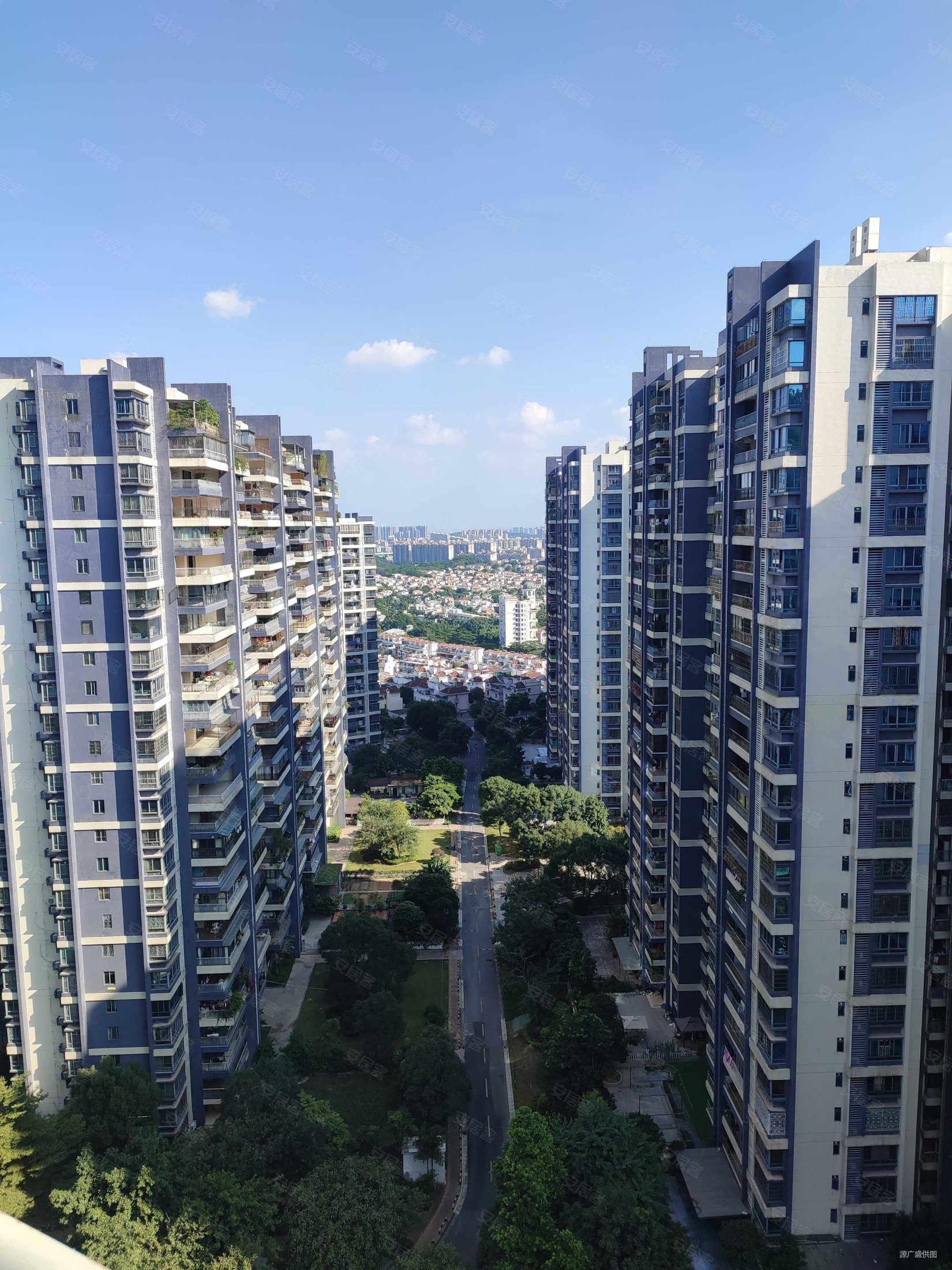 广州房产网>广州二手房>增城二手房>广园东二手房>碧桂园凤凰城凤锦苑