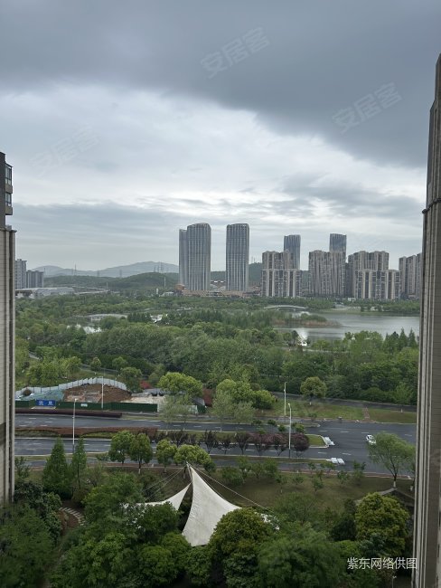 上下两层 带挑高 可看仙林湖公园,保利罗兰香谷二手房,330万,3室2厅,2