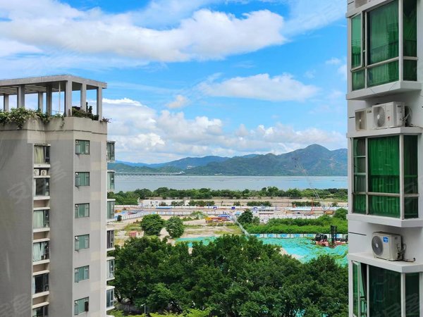 深圳南山蛇口金色海琴苑后海深圳湾,金色海琴苑海景三房出租,近深圳湾
