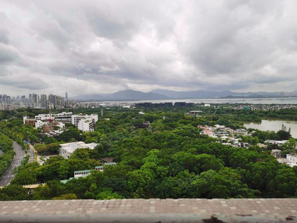 深圳南山华侨城东方花园世界之窗地铁旁 三房两卫 朝南向 通透出租