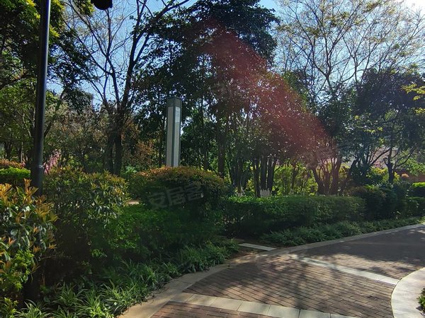 【多图】西府景苑,马街租房,三号地铁站口(眠山站)2室精装急租,西山