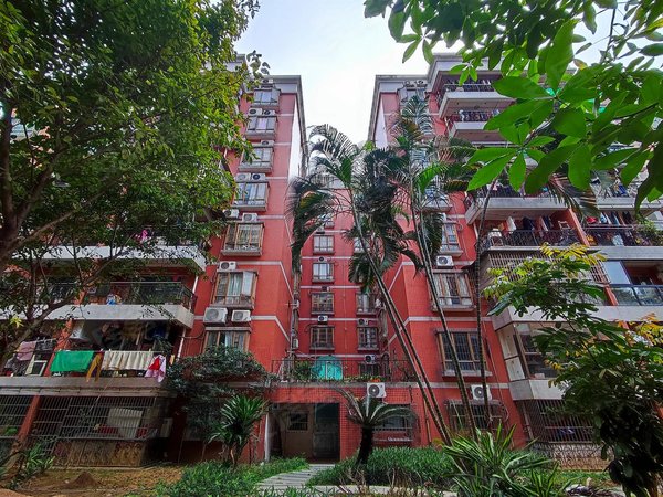 广州天河员村金兴花园真图 电梯三房 天河公园地铁 优雅安静 绿园小区