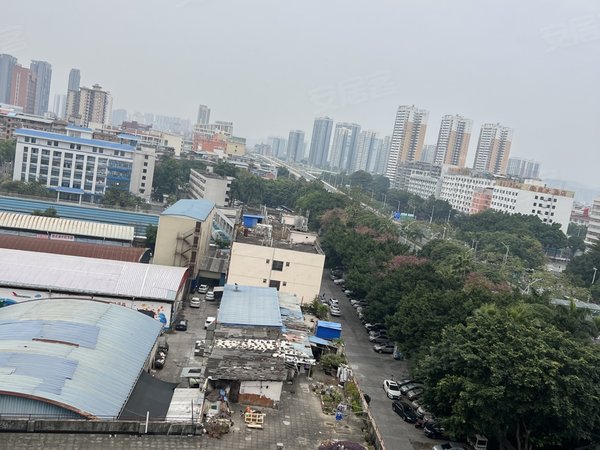 南宁西乡塘科园大道大学公园里(二期)动物园站 一房一厅出租,价格美丽,业主帅气,大学公园里出租房源真实图片