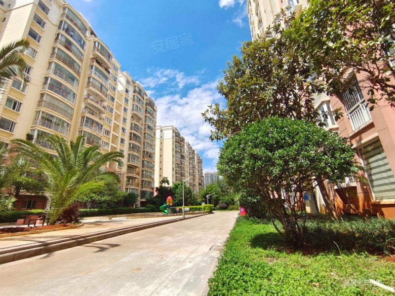 福康花园一楼带花园种菜种花爱情海旁环境好芳草地