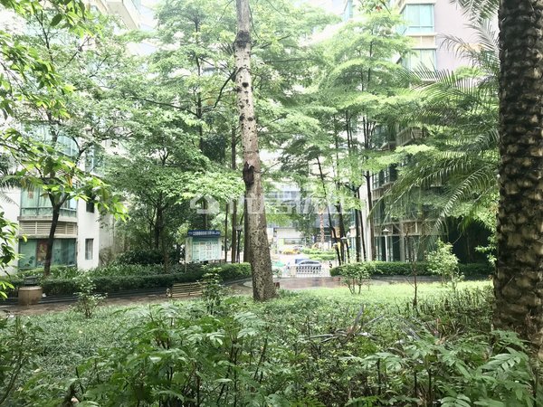 【多图】德瑞花园,东盟商务租房,户型方正 南北通透 采光好 生活便利