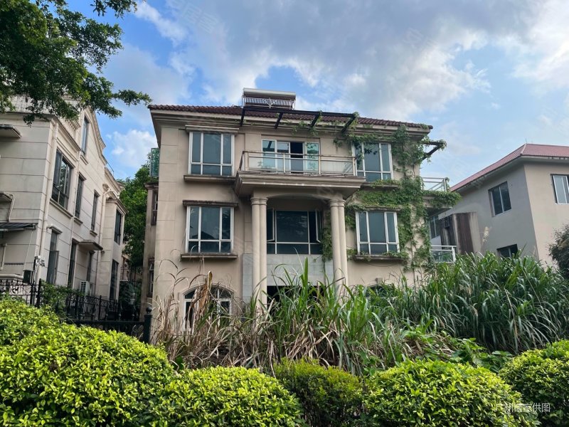 笋盘独栋别墅,低于市场,大量别墅笋盘捡漏 ,随时看房,南湖山庄二手房