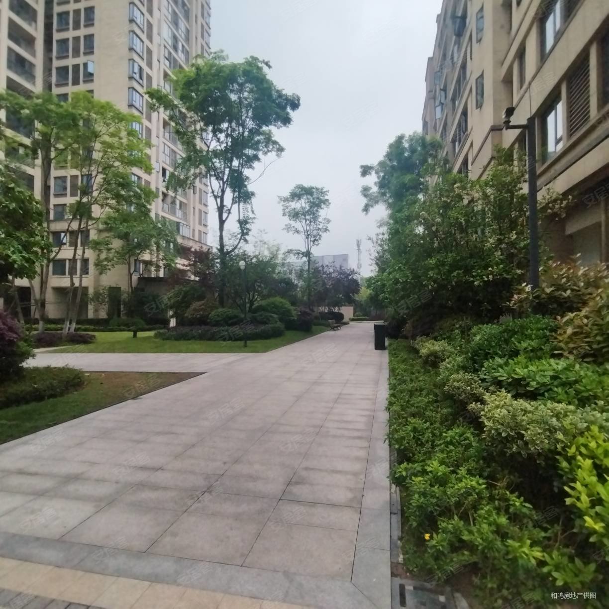 翡丽锦悦一期洋房横厅设计业主诚心出售随时看房