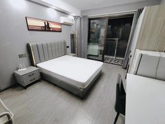 上海松江松江大学城大学城地铁站对面星辰园,三湘四季,精装修一室户独厨独卫出租房源真实图片