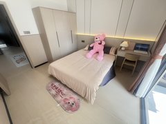 深圳南山西丽西丽地铁站,近大疆,天空之城,万科云城,科技园TCL国际出租房源真实图片