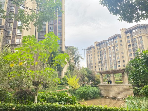 巴中巴州回风凯莱国际社区回风 费尔顿酒店对面 小高层 140平办公室