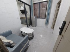 东莞南城第一国际年底急租 南城富民步行街 新基 电梯精装1房1厅出租房源真实图片