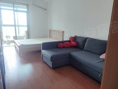 怀化鹤城城南岳麓欧城 初次出租 不靠马路的精装公寓 宜居楼层出租房源真实图片