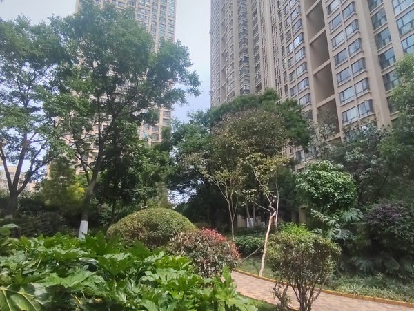 【多图】盛高大城(2期),滇池路片区租房,万达广场附近,润城旁边,金坤