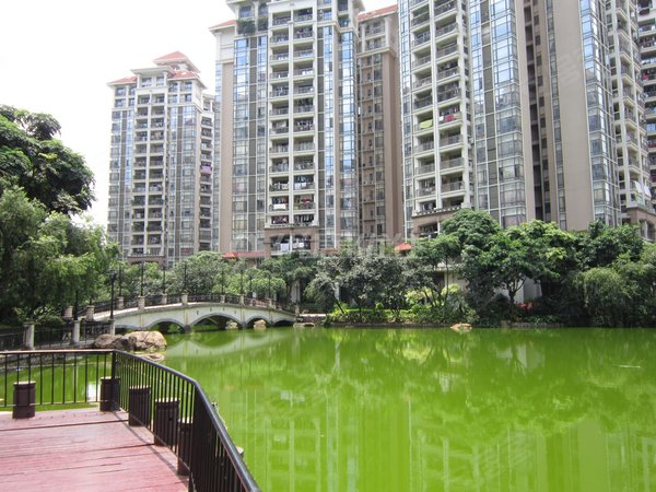 【多图】广州富力城,机场路租房,押二付一 精装 整租 广州富力城 3室