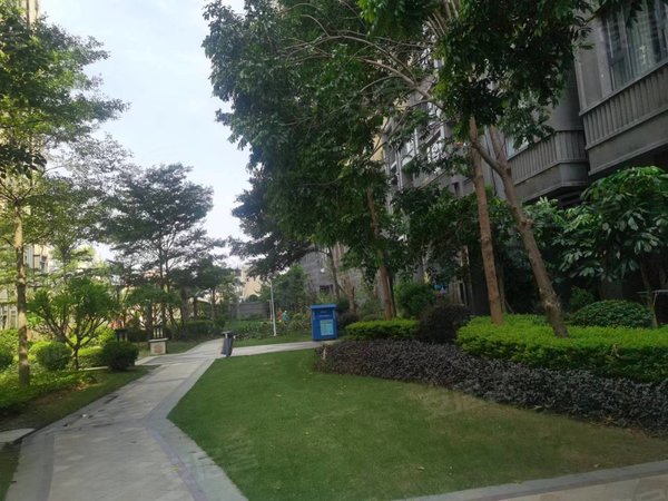 泉州石狮石狮泰禾广场龙喜华城德辉广场 龙喜华城精装复式两房出租 新