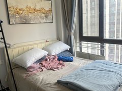 徐州云龙新淮中心整租|云龙华府,万达商圈,精装修拎包即住,随时看房,诚心出租出租房源真实图片