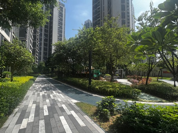 【多图】保利星海小镇,榄核租房,保利星海小镇南向三房出租 定制衣柜