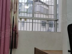 梧州长洲市政府和谐家园自建房 1室1厅1卫出租房源真实图片
