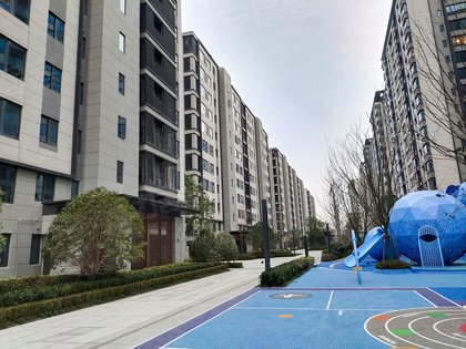 金地玖峯汇