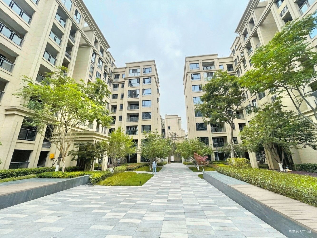 刘家坪轻轨旁龙湖洋房一梯三户凤凰楼层全朝中庭南北通透