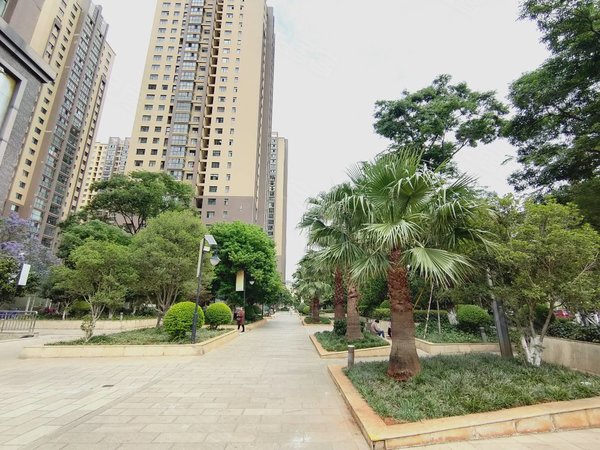 昆明西山西山区政府碧鸡名城(1期)二环边新小区电梯房 精装修两室两厅