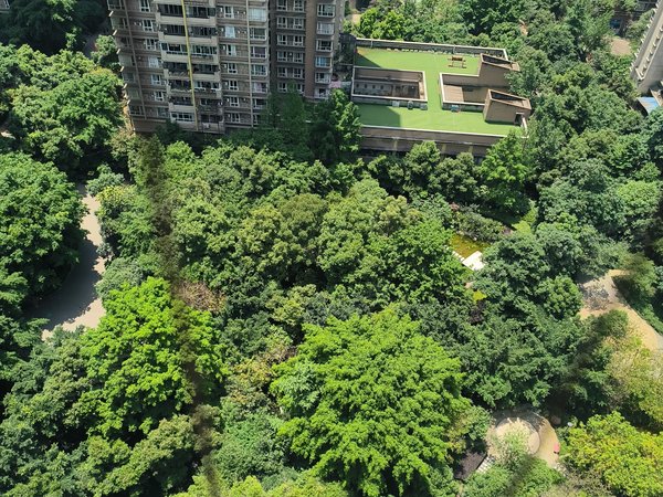 重庆渝北冉家坝诚投天邻风景地铁旁 3室2厅2卫 电梯房 125平   2700