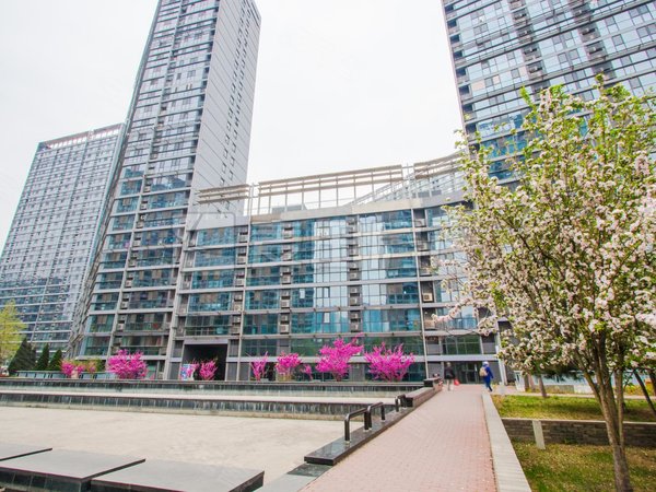 太阳宫 三元桥 正南2居室 uhn国际村 精装随时入住,朝阳租房-北京58